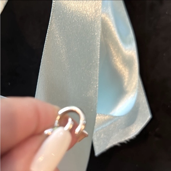 Tiffany & Co. Chain Link Clasping Charm Bracelet 100% Authentic - Picture 7 of 9